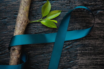 Top view of  teal ribbon on dark background with growing plant. Cervical and ovarian cancer, sexual...