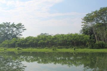 lake in the forest