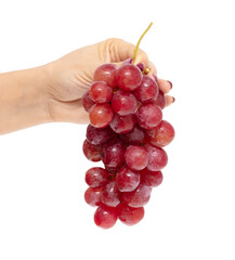 Red grapes in hand isolated on white