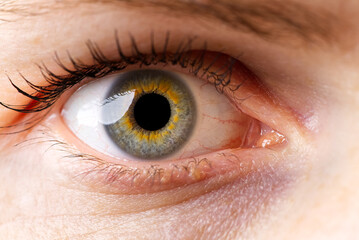 woman macro eye. macro photography of human eye