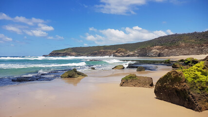 Fototapeta na wymiar Ghosties Beach Catherine Hill Bay New South Wales Australia. The waves are washing over a sandy beach with cliffs in the background. Algae covered rocks litter the beach