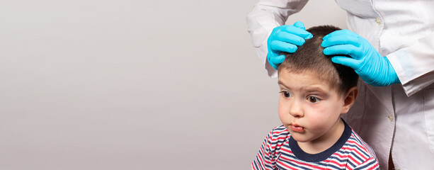 The pediatrician in the gloves will check the presence of lice and nits in a small child. Pediculosis in kindergarten, preventive examination of the head and hair. Banner copy space for text