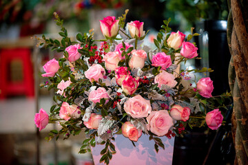 many roses in pot