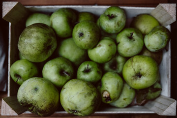 pears on stall