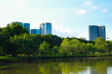 Fototapeta na wymiar Beautiful pond in public park tree against blue sky cloud