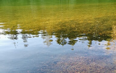 reflection of trees in the water of flowing river