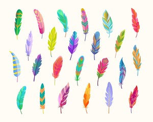Exotic bird feathers set. Rich waterfall of colored fluff bright green design with red tints soft blue contrast beautiful natural purple peacock tracery with yellow parrot picture. Cartoon vector.