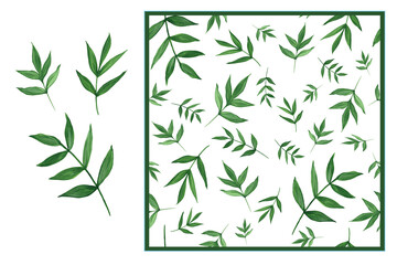 Botanical set - green leaves and seamless pattern. Watercolor design elements isolated on white background. For the layout of cards, wedding invitations, printing on fabric.