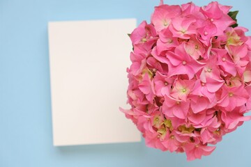 Floral card with hydrangea flowers in  pastel colors.Pink hydrangea flower, white blank card on light blue background.Women's Day, Mother's Day.Spring holidays greeting card with copy space.
