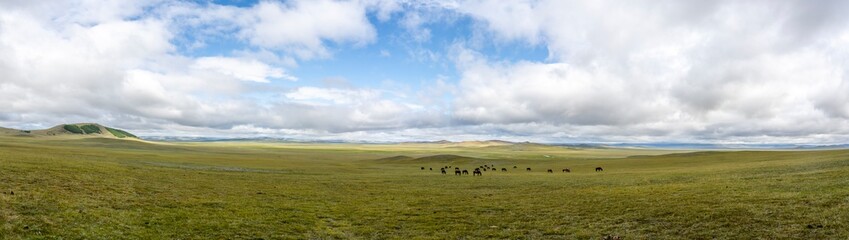 Fototapeta na wymiar Panorama Steppe Mongolia