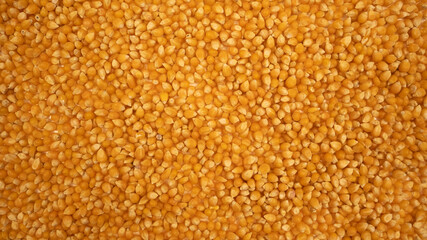 Popcorn maize background.