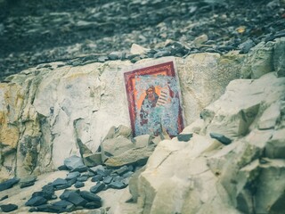 the seal