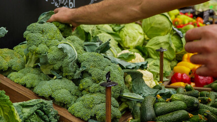 Close-up hands of grocery worker is arranging broccoli on store shelves. Salesman is filling up storage racks in vegetable department of supermarket
