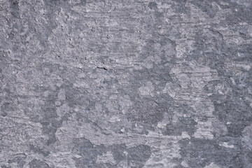 gray stucco grunge wall, abstract background gray wall blank