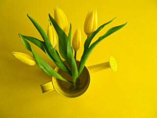 Yellow holland tulips in yellow watering can on illuminating yellow background. Monochrom floral concept. Bunch of flowers in pot. Minimalism aesthetic. Copy space for text.