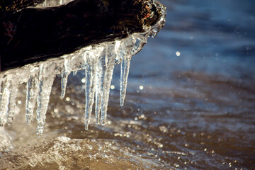 Icicles hanging from a log near lake. Seasons, nature, ecology, environment, climate change, global warming