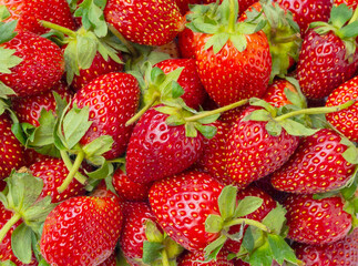 Fresh organic Strawberry fruit background