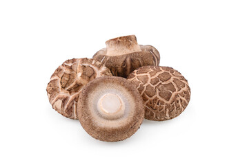 Shiitake Mushrooms isolated on white background