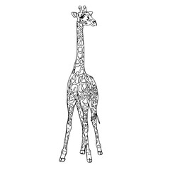 Drawing cute animals for kids. Giraffe. Black silhouette on a white background close-up. Vector illustration.