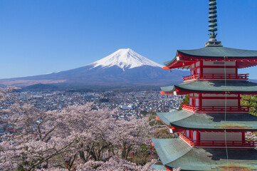 山梨県からの富士山と五重塔と桜
