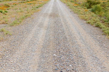 Dirty, dusty, gravel road in the steppe on a sunny bright summer day.