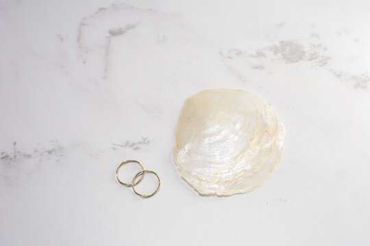 雑貨やインテリア、装飾などに使われる素材カピス貝(placuna placenta)