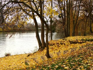 autumn in the park