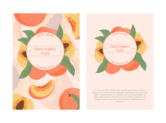 Ripe peaches, whole, sliced and half sliced peaches. Sweet nectarine fruits vector hand drawn card design.