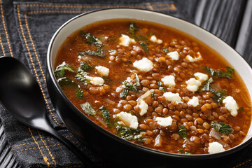 Delicious soup with brown lentils and feta close-up in a plate on the table. horizontal