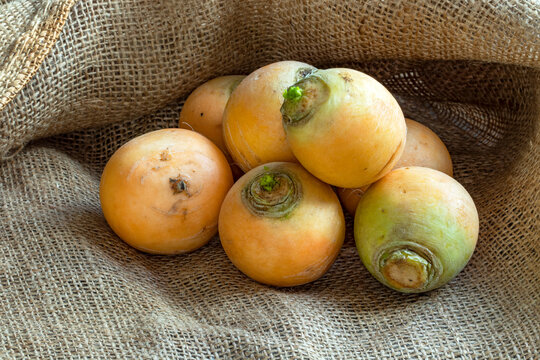 Navets Boule D'or, Légume Ancien Sur Fond De Toile De Jute