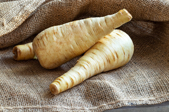 Panais, l&eacute;gume ancien sur fond de toile de jute