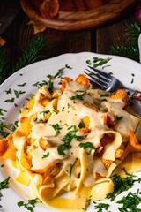 Tagliatelle with fresh chanterelles in a mushroom sauce