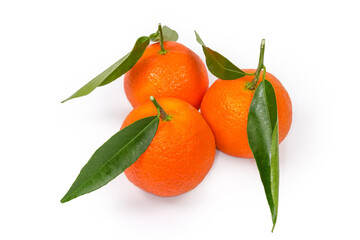 Tangerines on the twigs with leaves on a white background