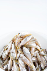 Fresh small sea fish Shanya