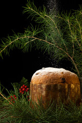 Close-up of panettone with sugar falling, with pine branches, selective focus, on black background,...