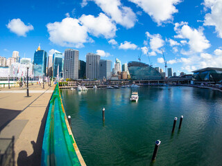 Naklejka premium View of Darling Harbour and Sydney CBD NSW Australia