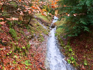 Kleiner Wasserfall an einem Bach in einem bunten Herbstwald