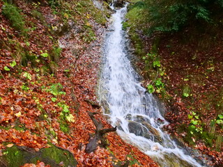Kleiner Wasserfall an einem Bach in einem bunten Herbstwald