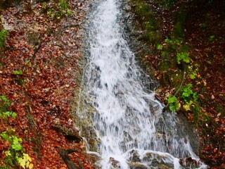 Kleiner Wasserfall an einem Bach in einem bunten Herbstwald