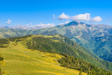 Fototapeta premium Mountain landscape in summer (Peak of Costabona, Pyrenees Mountains)