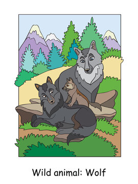 Children colorful wolf vector illustration for coloring