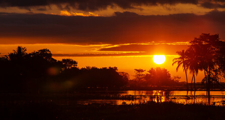 Tropical sunset