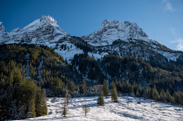 Fototapeta na wymiar peaks of Engelhörner in the Bernese Alps