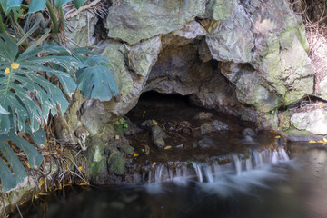 el agua del estanque