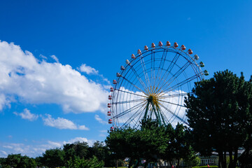 Fototapeta premium 茨城県ひたちなか市の公園の観覧車