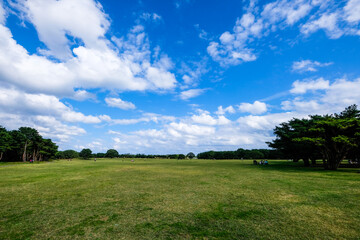 茨城県ひたちなか市の公園の大草原