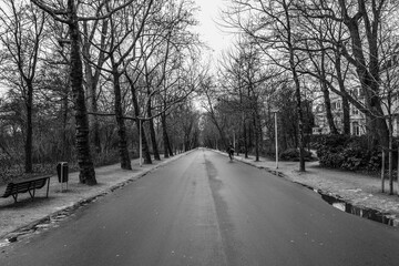 14.02.2012. Amsterdam. Netherland. Road in the Vondelpark, Amsterdam. Black and white photo. Person cycling inside the way.