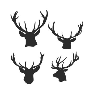 Black vector silhouette of deer's head with antlers isolated on white background. silhouette of a deer's head
