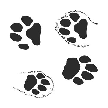 A set of dog's paws. Black traces in different styles. Isolated on white background. Silhouettes of paws. Vector illustration. cat paw trace, vector sketch illustration