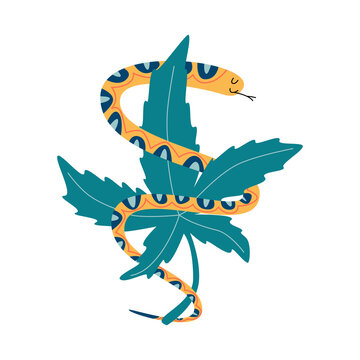 Snake with marijuana. Logo for cannabis company